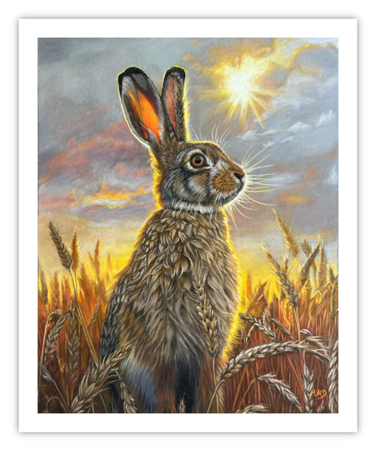 Hare before Harvest